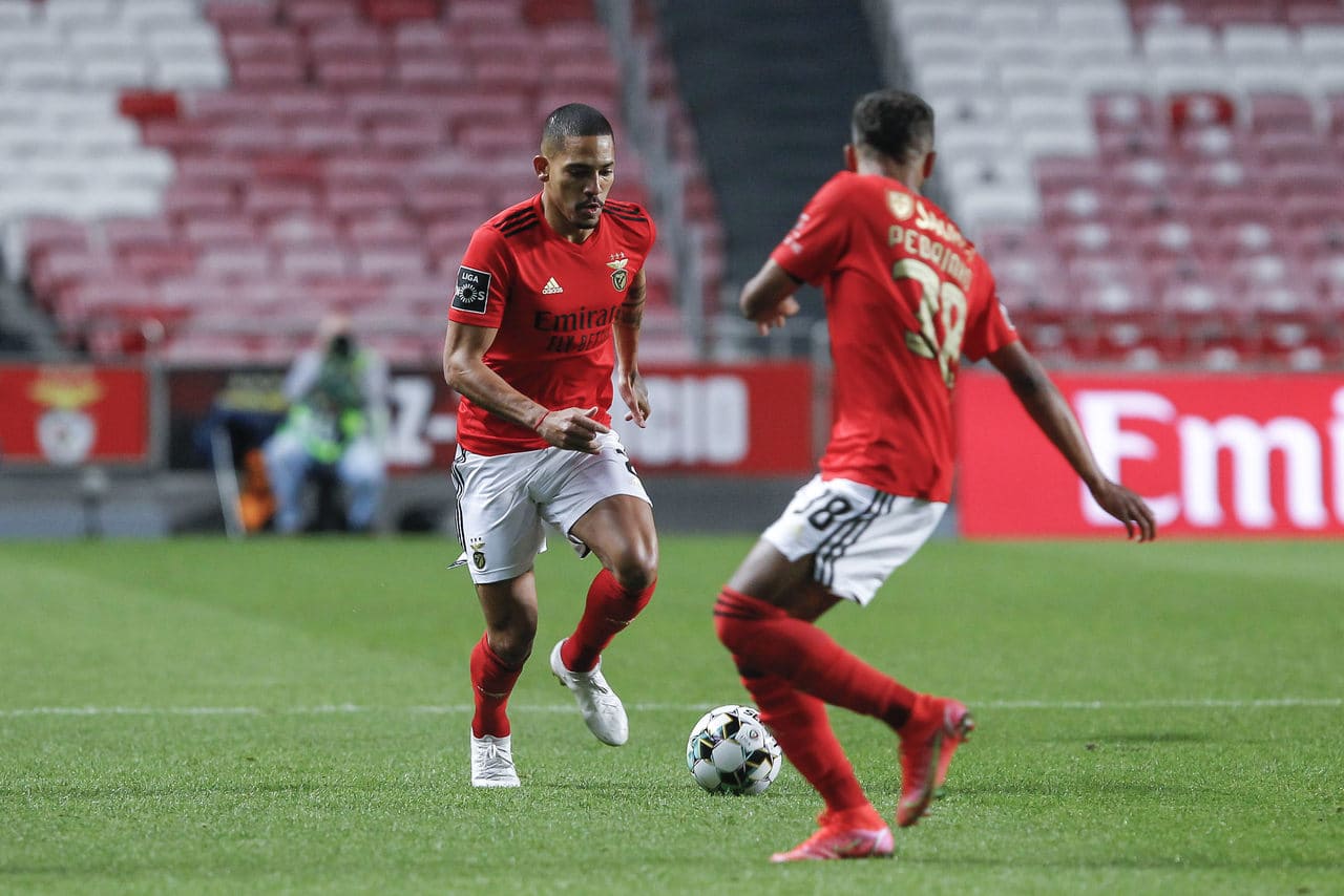 Palpite do dia: Benfica recebe Santa Clara em confronto de grande importância na 5ª rodada da Primeira Liga